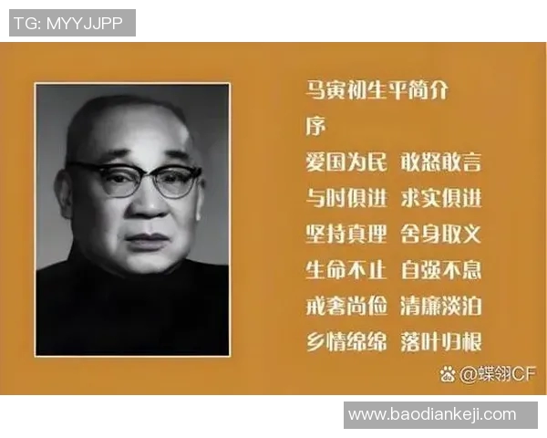 徐姓足球明星的辉煌历程与成就揭秘他们如何在绿茵场上书写传奇