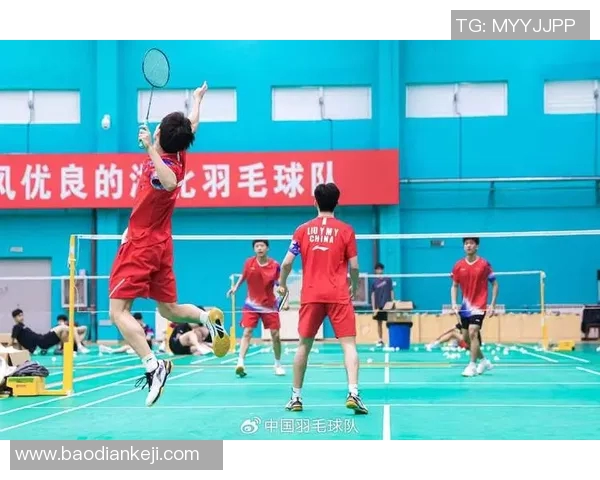 赛后分析：重庆羽毛球队与武汉羽毛球队的战术意识与团队配合探讨