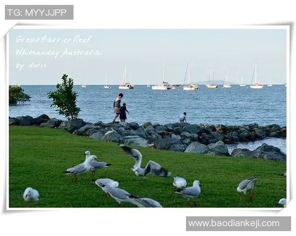 大洋洲足球明星的崛起与成就探索之旅